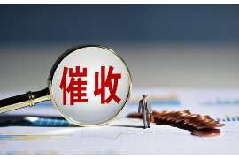 三原融资清欠服务